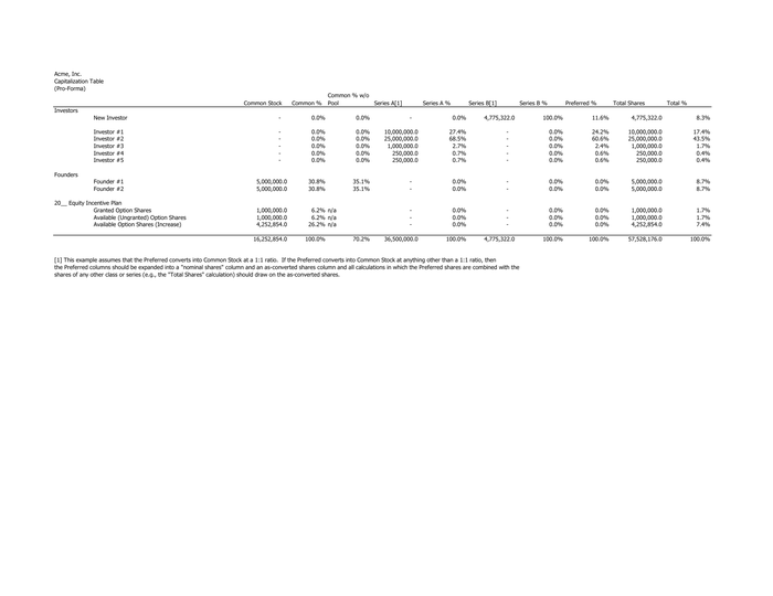 Page 1 of the sample Capitalization Table