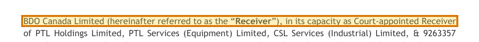The region of the sample Confidential Information Memorandum containing Seller capacity, with the extracted value outlined