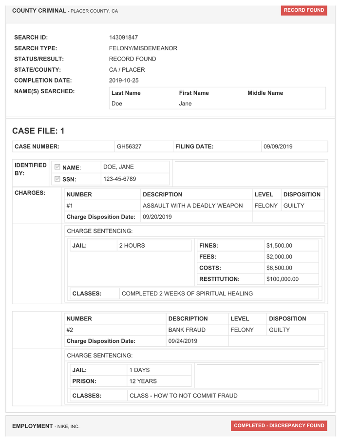 Page 3 of the sample Criminal Background Check