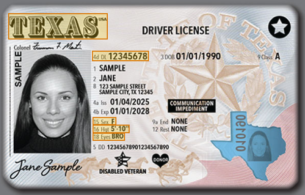 Page 1 of a sample Driver's License, with extracted values outlined