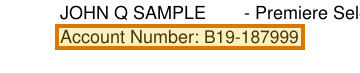 The region of the sample IRA Statement containing Account number, with the extracted value outlined