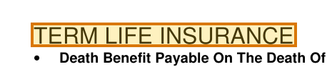 The region of the sample Life Insurance Policy containing Product, with the extracted value outlined
