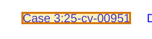 The region of the sample Litigation Complaint containing Case number, with the extracted value outlined
