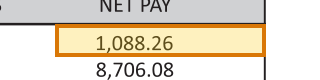 The region of the sample Pension Statement containing Net pay, with the extracted value outlined