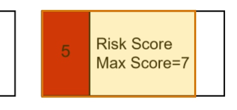 The region of the sample Prescription History Report containing Risk score, with the extracted value outlined