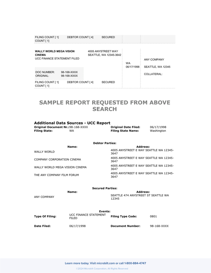 Page 2 of the sample UCC Lien Search