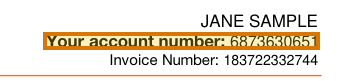 The region of the sample Utility Bill containing Account number, with the extracted value outlined