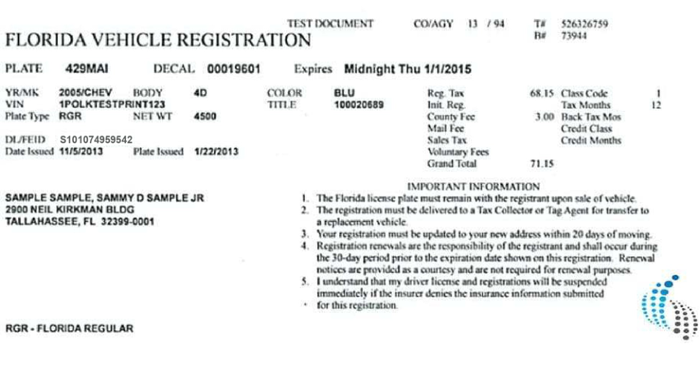 Page 1 of the sample Vehicle Registration