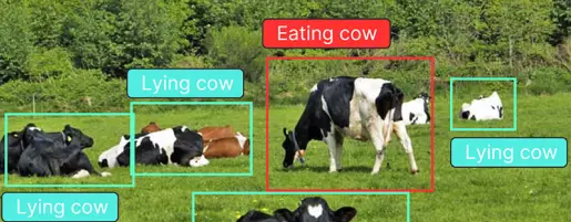 Labeling and Counting