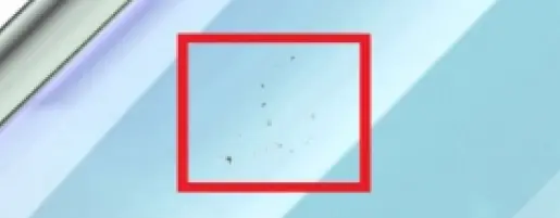 Vial Contamination Inspection