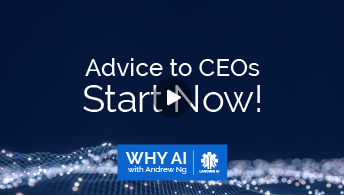 Advice to CEOs, Start Now!