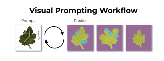 Visual Prompting Workflow