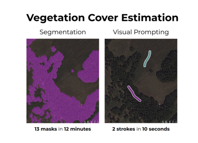 Vegetation Cover Estimation