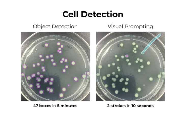 Cell Detection