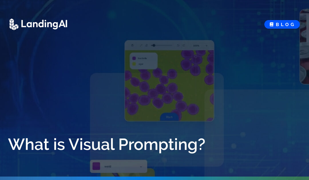 What is Visual Prompting?