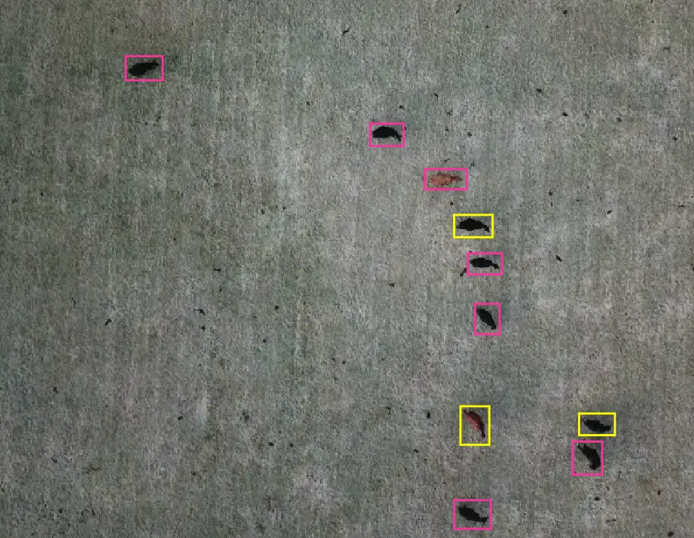 cows (pink labels) and horses (yellow labels) are labeled in images taken by a drone