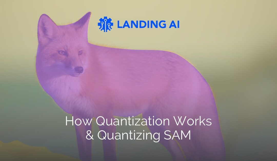 How Quantization Works & Quantizing SAM