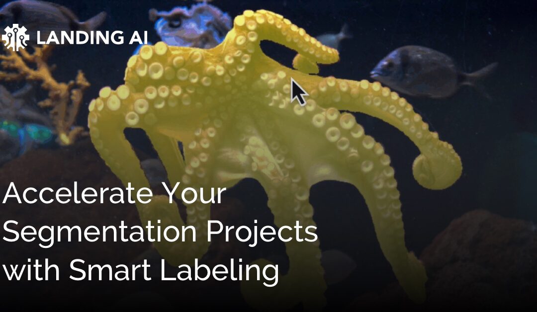 Accelerate Your Segmentation Projects with Smart Labeling