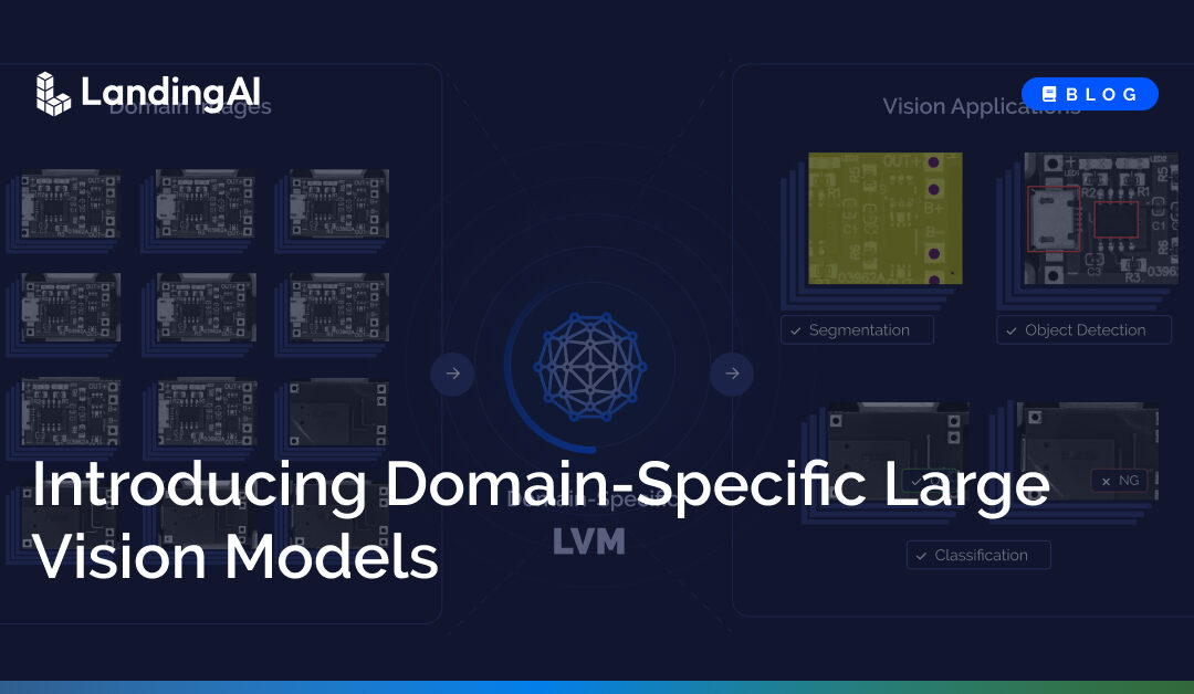 Introducing Domain-Specific Large Vision Models