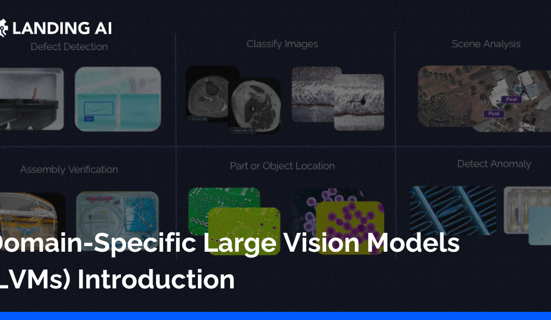 Domain-Specific Large Vision Models (LVMs) Introduction