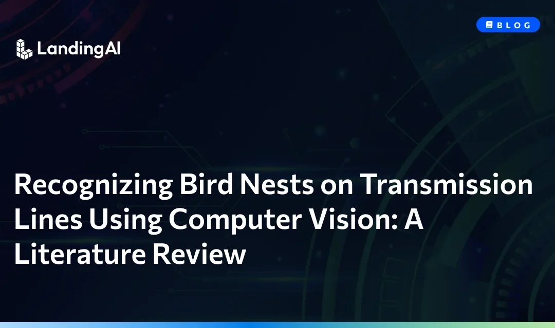 Recognizing Bird Nests on Transmission Lines Using Computer Vision: A Literature Review